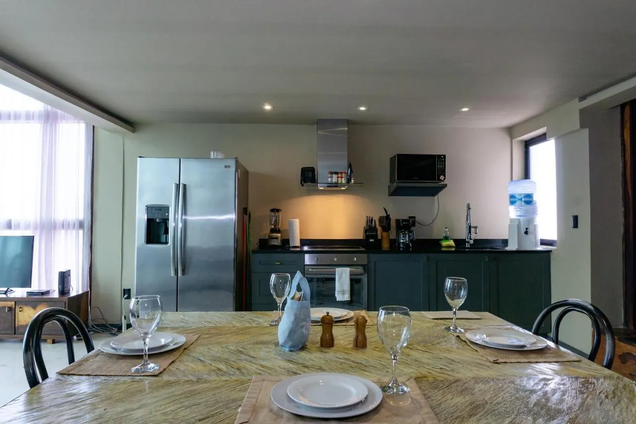 Oceanview Lotus 8 Playa Del Carmen Apartment